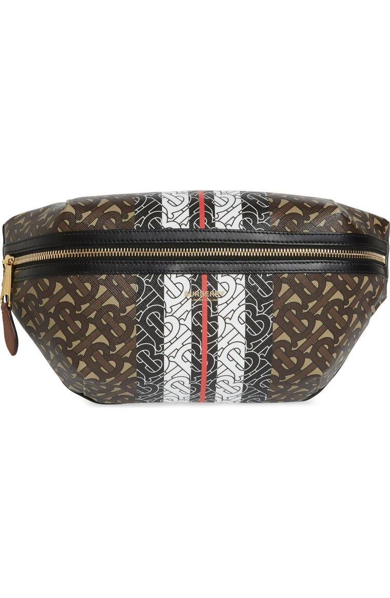 Medium Sonny E-Canvas Belt Bag | Nordstrom