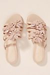 Cecelia New York Astra Slide Sandals | Anthropologie (US)