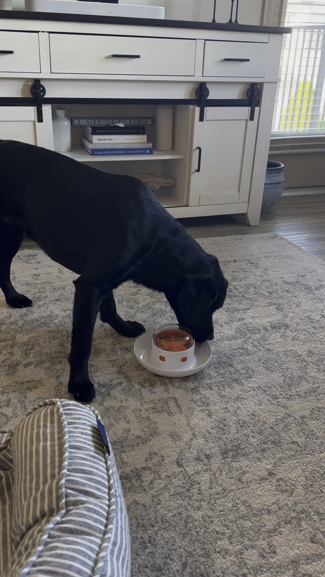 A great enrichment toy! Brody loves this!! 
