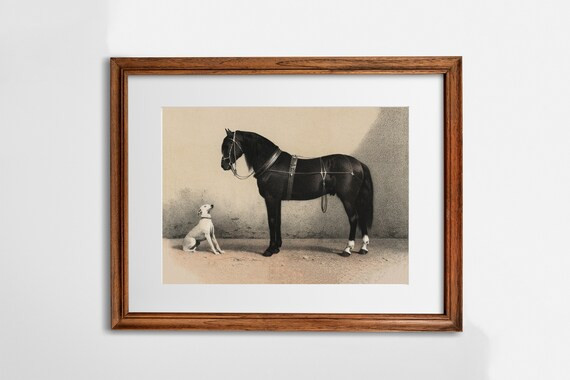 Vintage Horse Paintings Art Set Horse Gallery Wall Print Set - Etsy | Etsy (US)