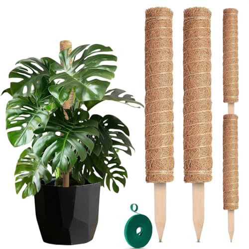 2 Pack Moss Pole Monstera Plant Support 20 inch - Plant Pole 2 Pack 12 inch with 67 inch Garden Twist Ties - Moss Poles for Climbing Plants Monstera Coconut Fiber for Plants Stakes Moss Coco Pole | Amazon (US)