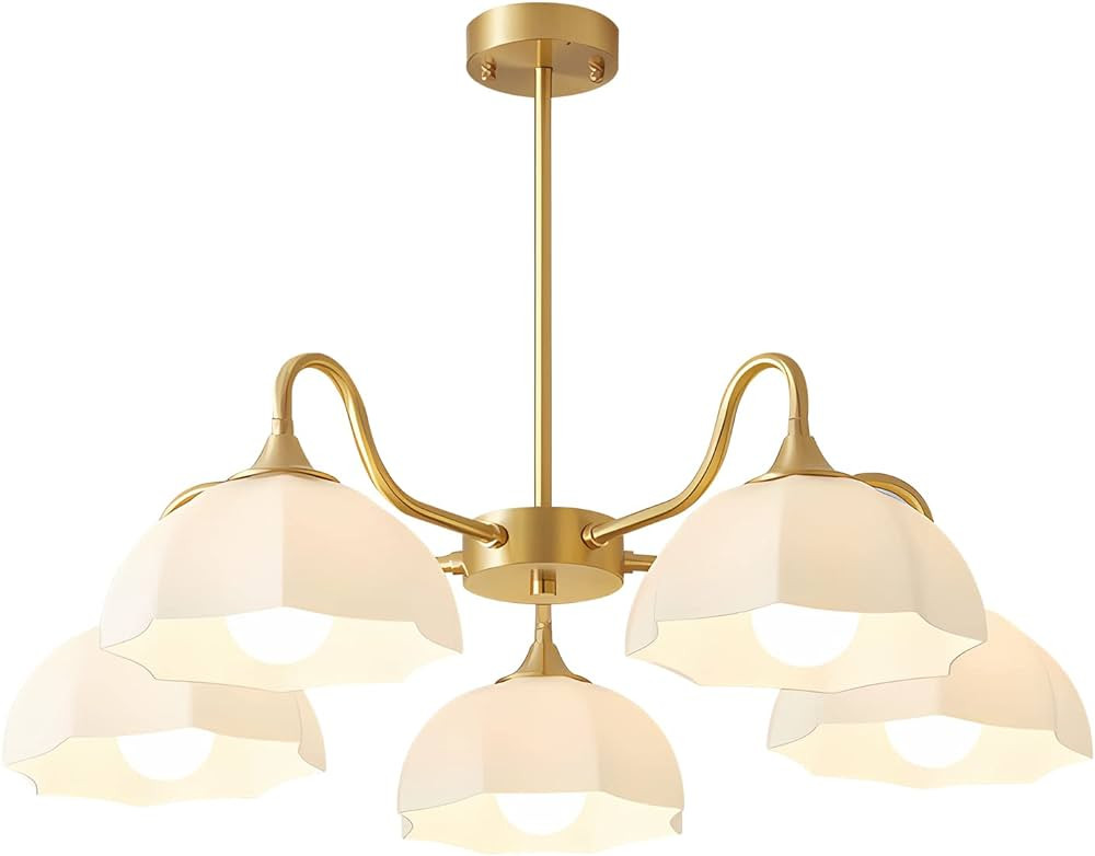 Fulesi | Amazon (US)