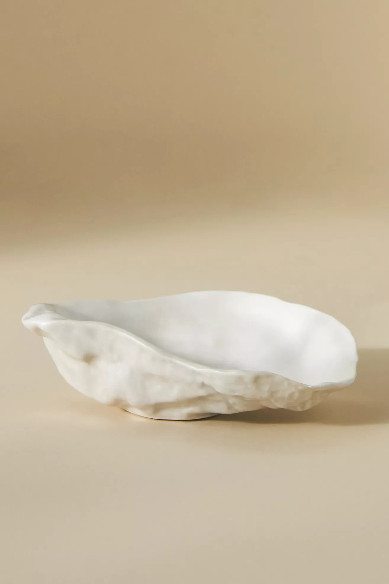 Beach Shell Trinket Dish | Anthropologie (US)
