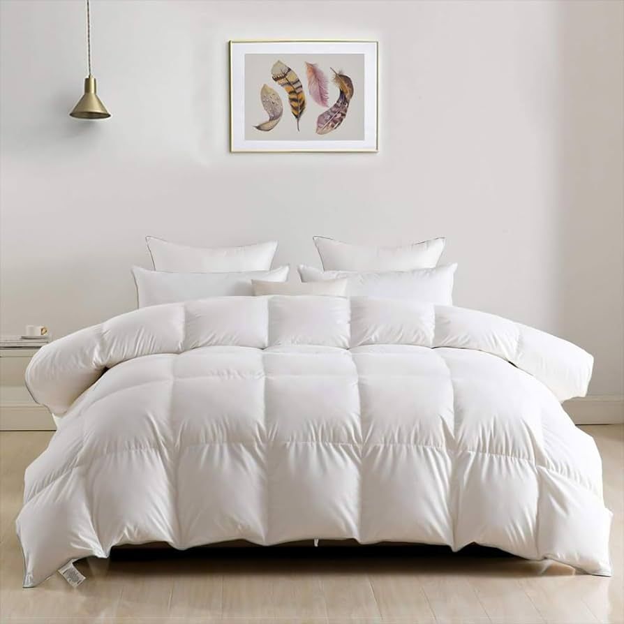 DWR Luxury Feathers Down Comforter Full/Queen, Hotel-Style Fluffy Duvet Insert, Ultra-Soft Egypti... | Amazon (US)