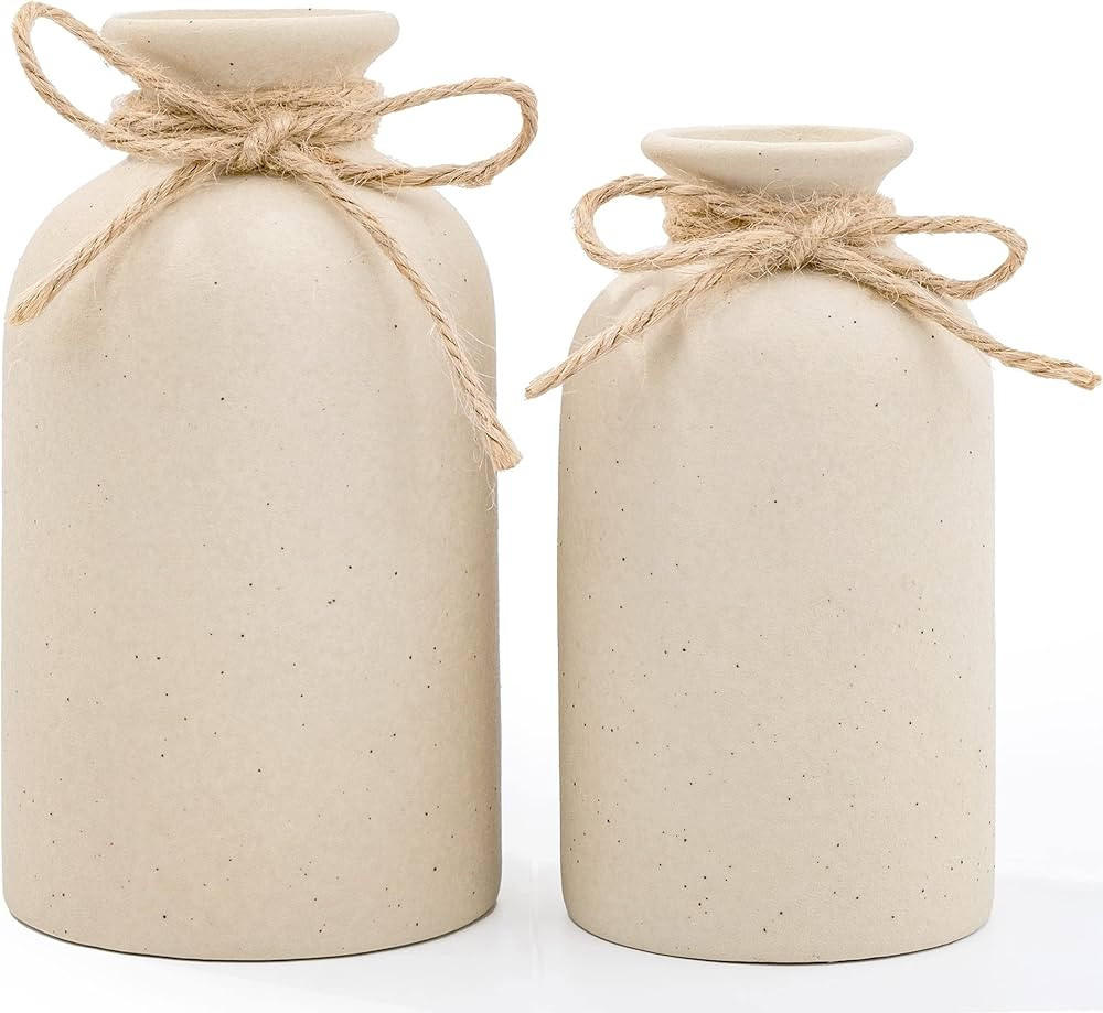 Hirdbrote Small Ceramic Vases for Decor 2-Piece, Flower Vase Vintage Decor Modern Farmhouse Decor... | Amazon (US)
