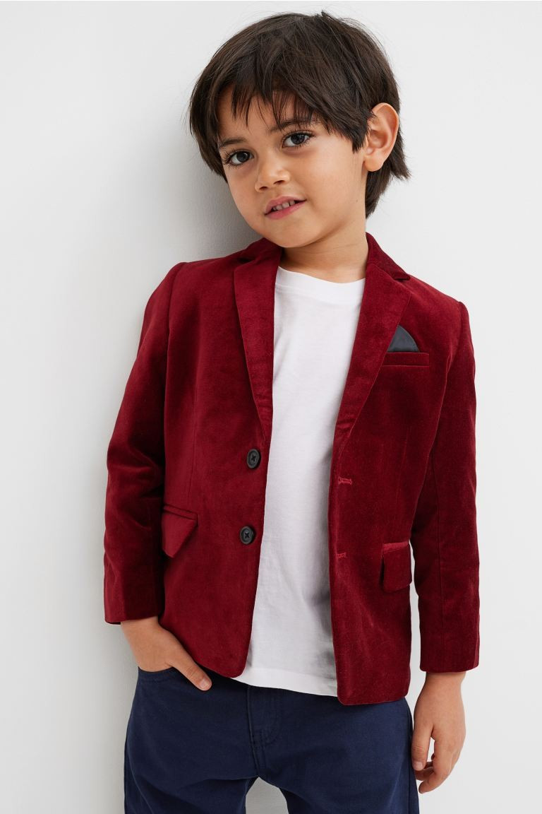 Velvet Blazer | H&M (US + CA)