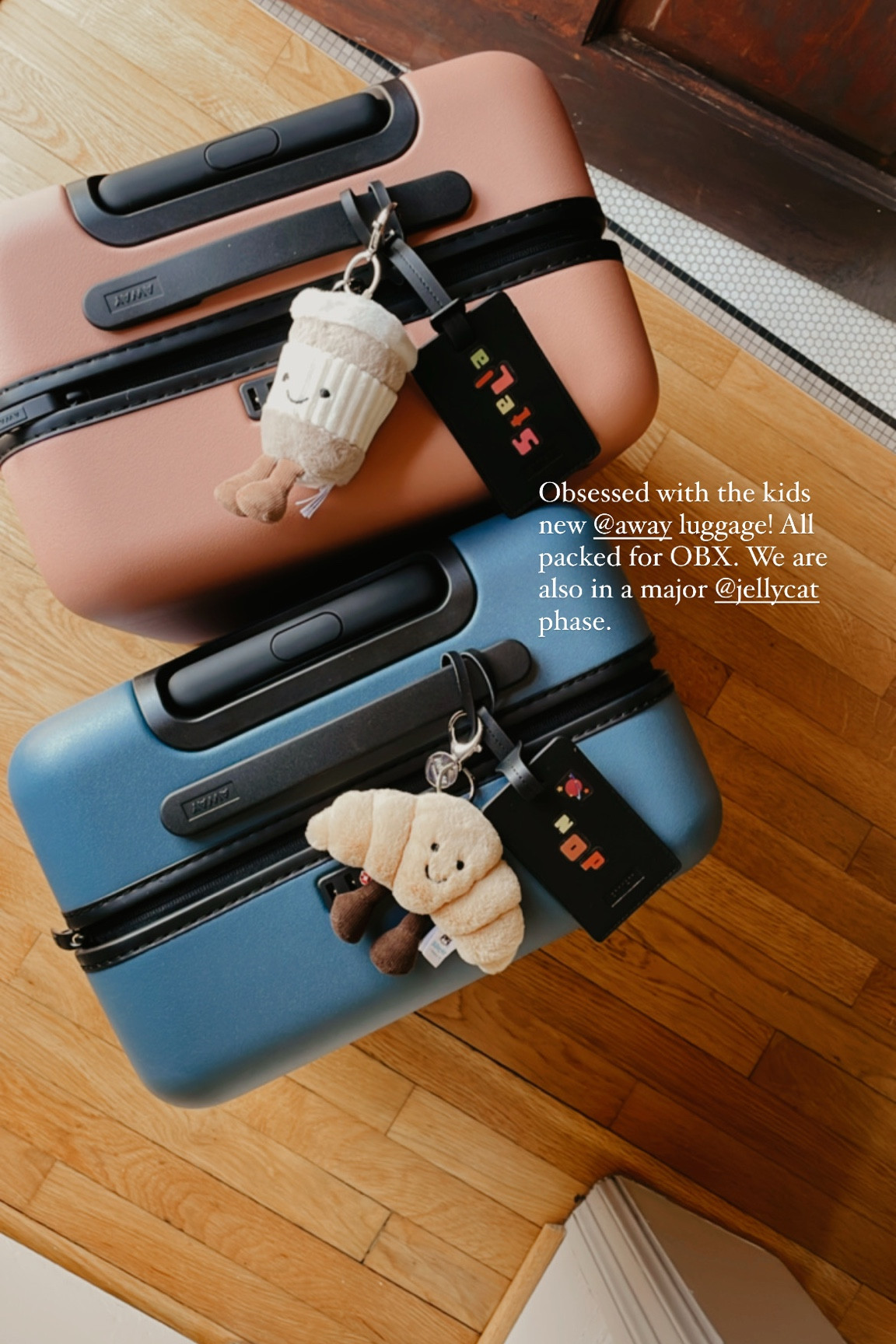 We can’t get enough Jellycat. Now their carry on luggage is as cute as them 🫶🏼

#kidswhotravel #awayluggage #personalizedluggage #keychain #jellycat 