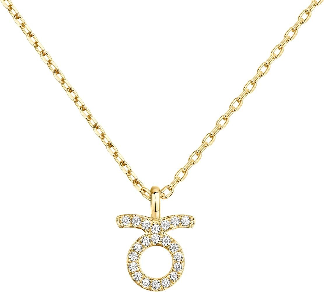 PAVOI 14K Gold Plated CZ Astrology Necklace Astrology Necklace | Astrology Gifts for Women | Zodiac  | Amazon (US)