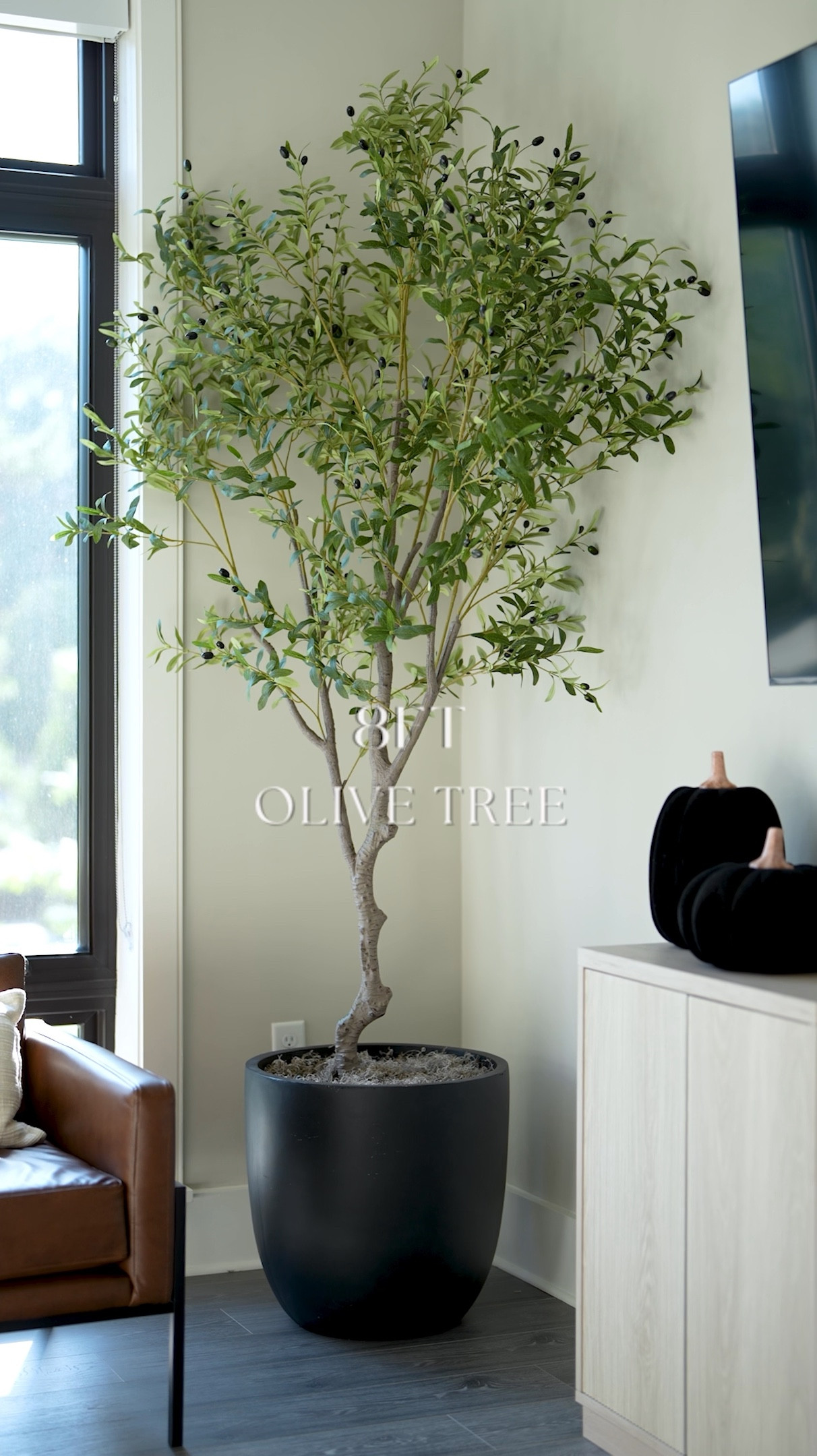 8ft Olive Tree that comes in a 2-pack. Planter is from AtHome  

#LTKOver40 #LTKStyleTip #LTKHome