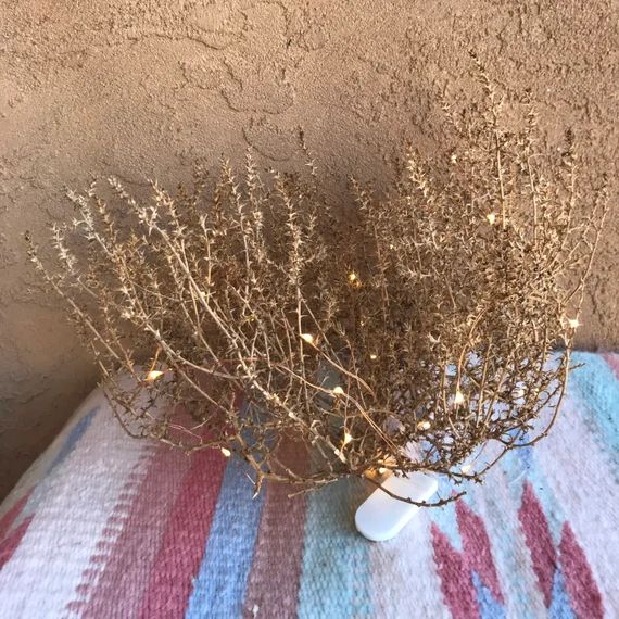Tumbleweed Decor From NM With Fairy Lights  12 X | Etsy | Etsy (US)