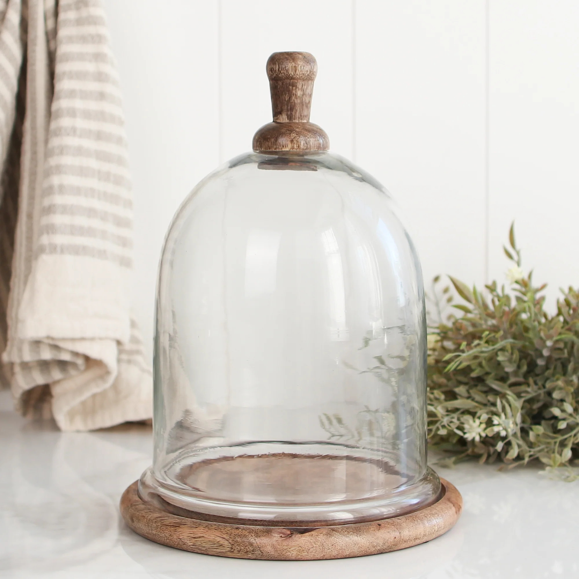 Glass and Wood Cloche | Interior Delights