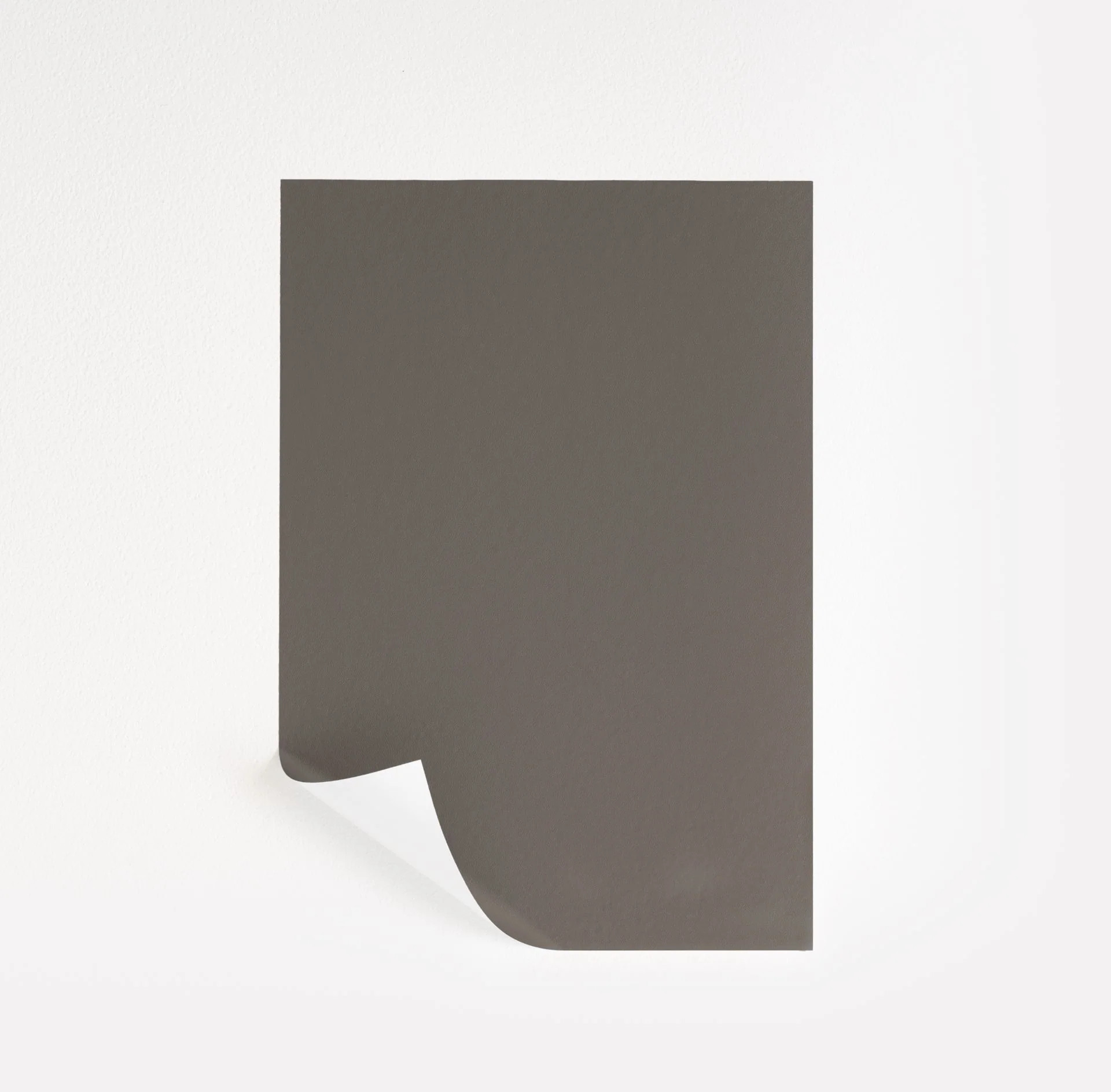 Bear Creek  Paint Sample | Samplize