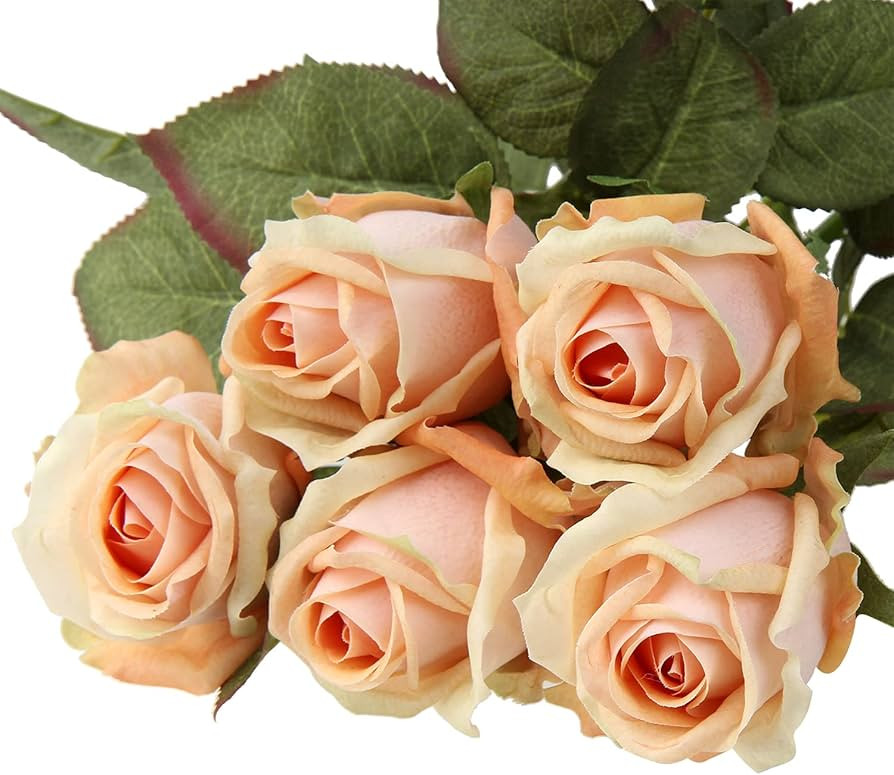 DILATATA Artificial Realistic Roses Peach Flowers 24" Real Touch Silk Roses Bouquet Long Stems Ro... | Amazon (US)