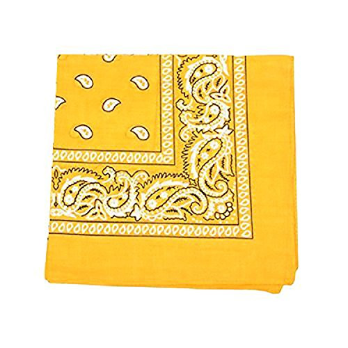 Mechaly Paisley 100% Polyester Unisex Bandanas - 12 Pack - Dozen Wholesale (Yellow) | Amazon (US)