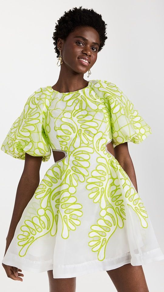 Aje Botanical Applique Mini Dress | SHOPBOP | Shopbop