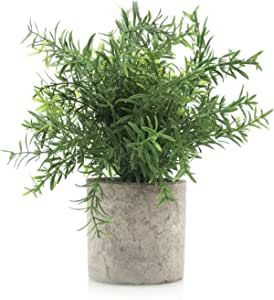 Velener Mini Green Rosemary Artificial Plant, Bamboo Leaves Fern- Fake Desk Plant in Eco-friendly... | Amazon (US)