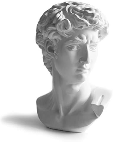 SCMAIGU 6” David Bust Greek Statue Michelangelo Head Sculpture Figurine, Room Office Bookself A... | Amazon (US)