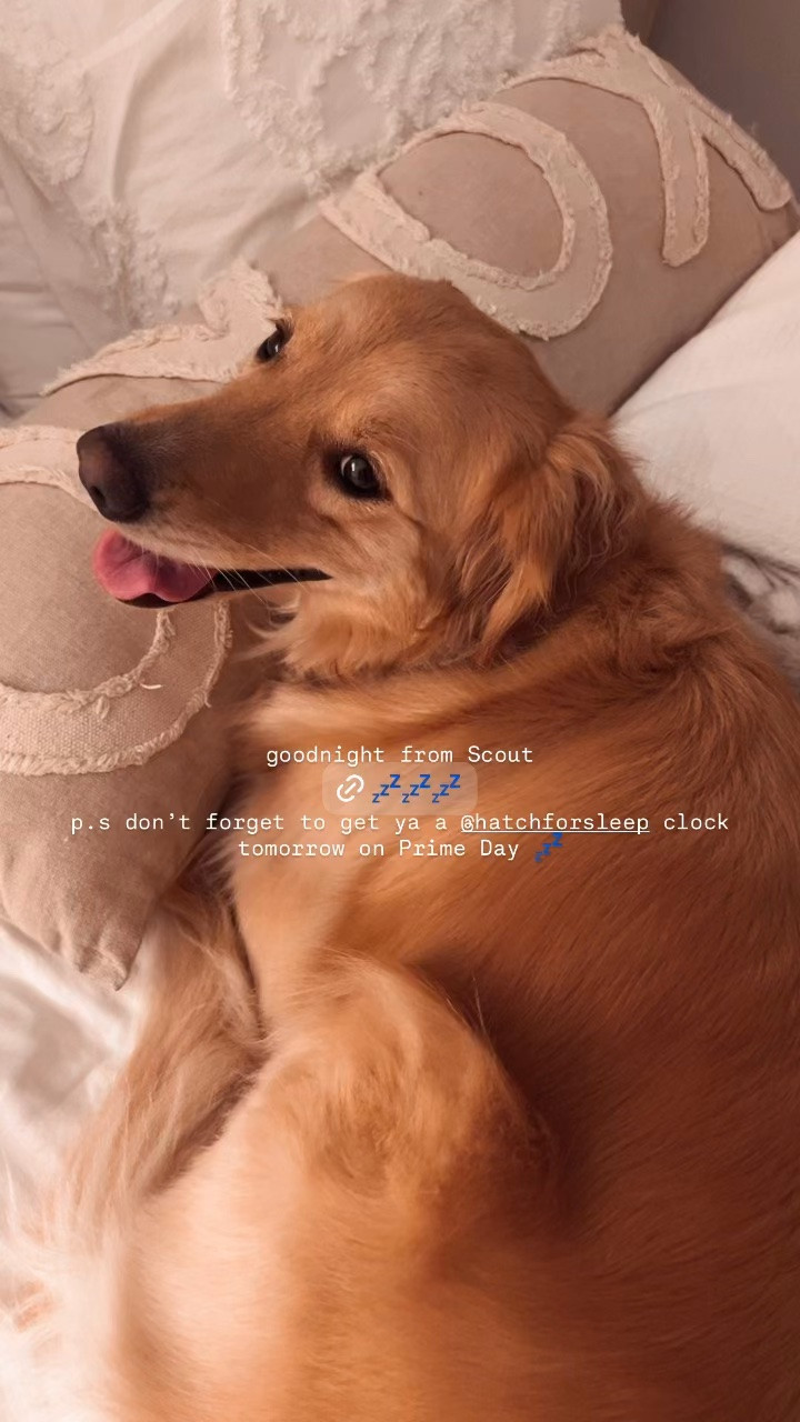 // Amazon prime day deals // @Hatch sleep clock!! I love this contactless sleep tracker and loved the restore 3 too!! (The sleep clock is basically the restore 3 that tracks your sleep!) 💤//