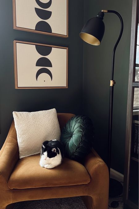 the reading corner of my dreams 🥰☁️📖🫶🏼 this space turned out just like I envisioned!!! & idk who is loving the new chair more, me or the animals 😂 all pieces are super affordable and easy to set up (I mean, I did it all myself 😉) @walmart #walmarthome #homeoffice #homedecor #officedecor #homeofficedecor #readingnook #readingcorner #bookish #booklover #authorlife #officedesign #homelibrary

#LTKstyletip #LTKhome #LTKfindsunder100