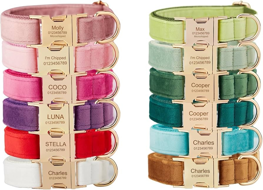 Personalized Dog Collars with Metal Buckle - Custom Pet Name Phone Number for Small Medium Large ... | Amazon (US)