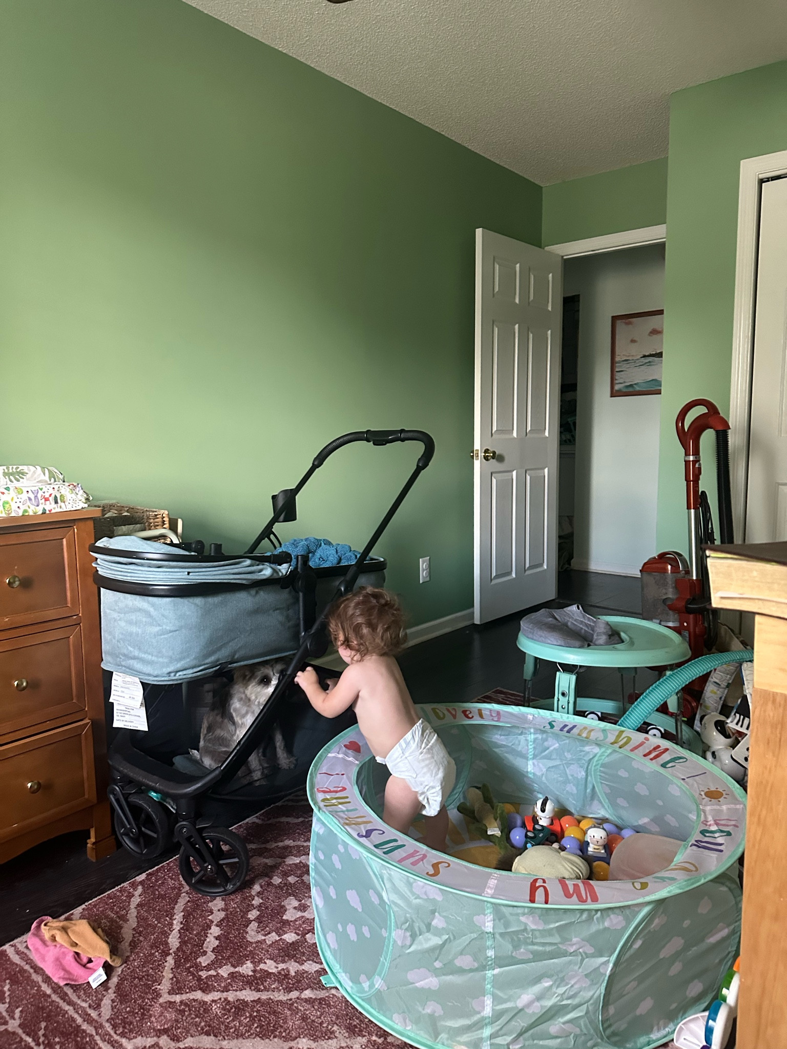 Play ball pit! 

#LTKKids #LTKBaby #LTKFamily