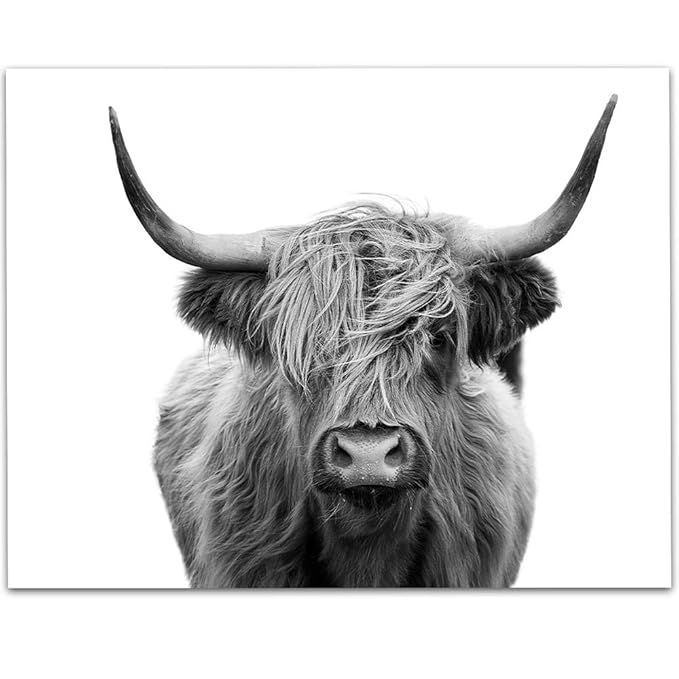 LSA Brand Highlands Cow Black and White - 11x14 Unframed Print - Makes a Great Farm Decor Under $... | Amazon (US)