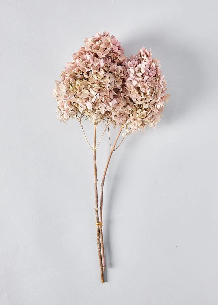 Light Mauve Pink Preserved Hydrangea Bundle - 16-20" | Afloral