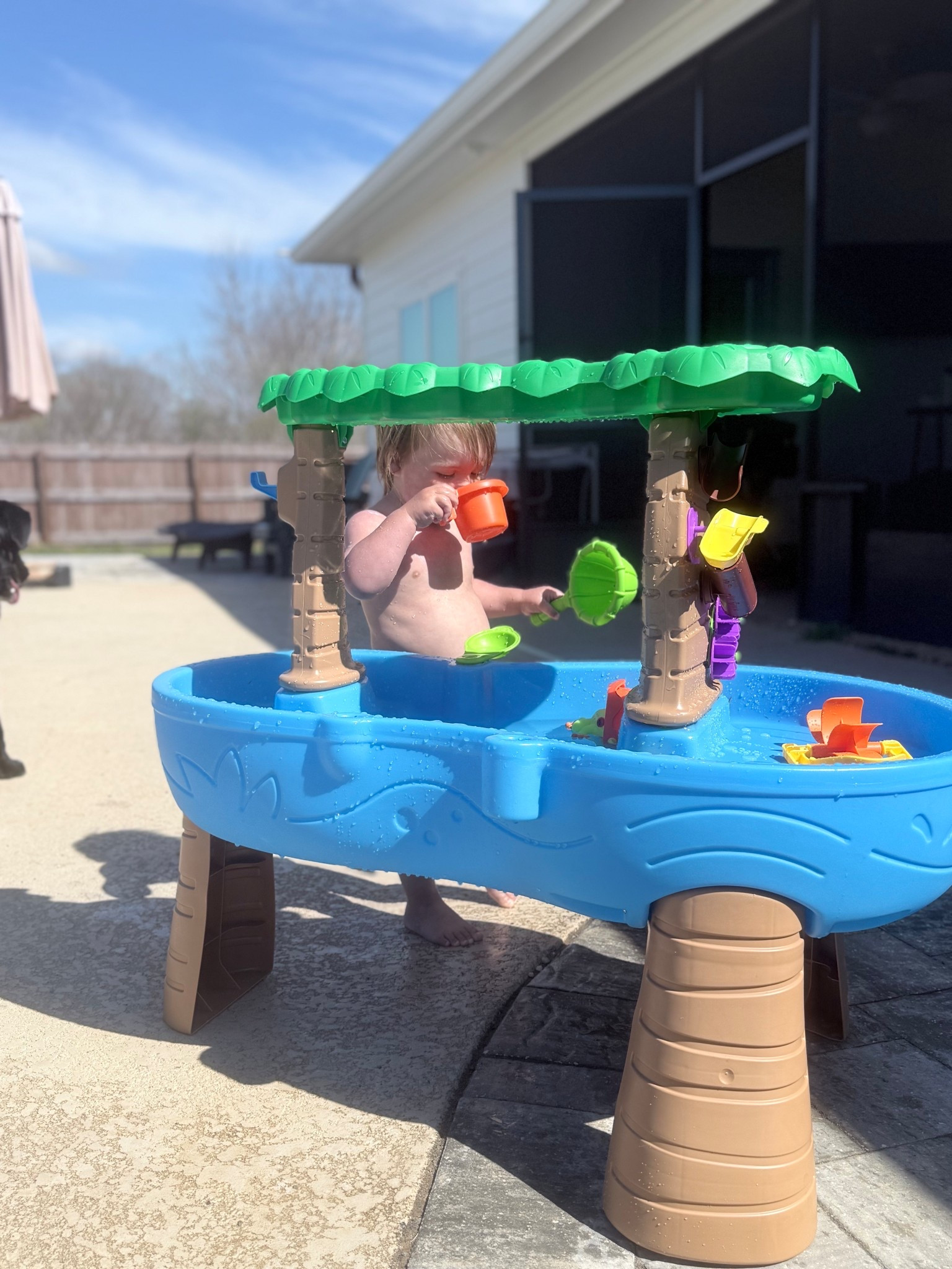 Took advantage of this beautiful morning and did some sensory water table play! He loves this so much, so now I need to buy 10 more! 

#LTKmomlife #LTKKids #LTKdayinmylife