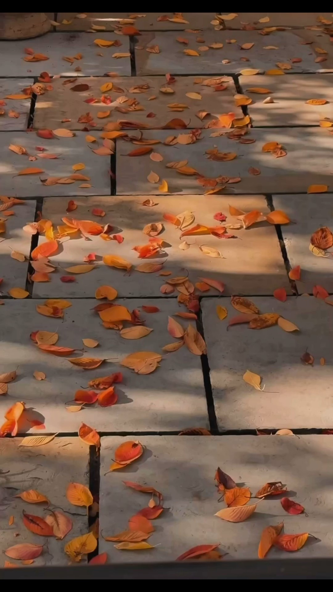 Tonal dressing made effortless with @abercrombie 🍂 
Wearing a size medium in the cardigan 
Size 28 (short) in the trousers 

#LTKeurope #LTKuk #LTKautumn