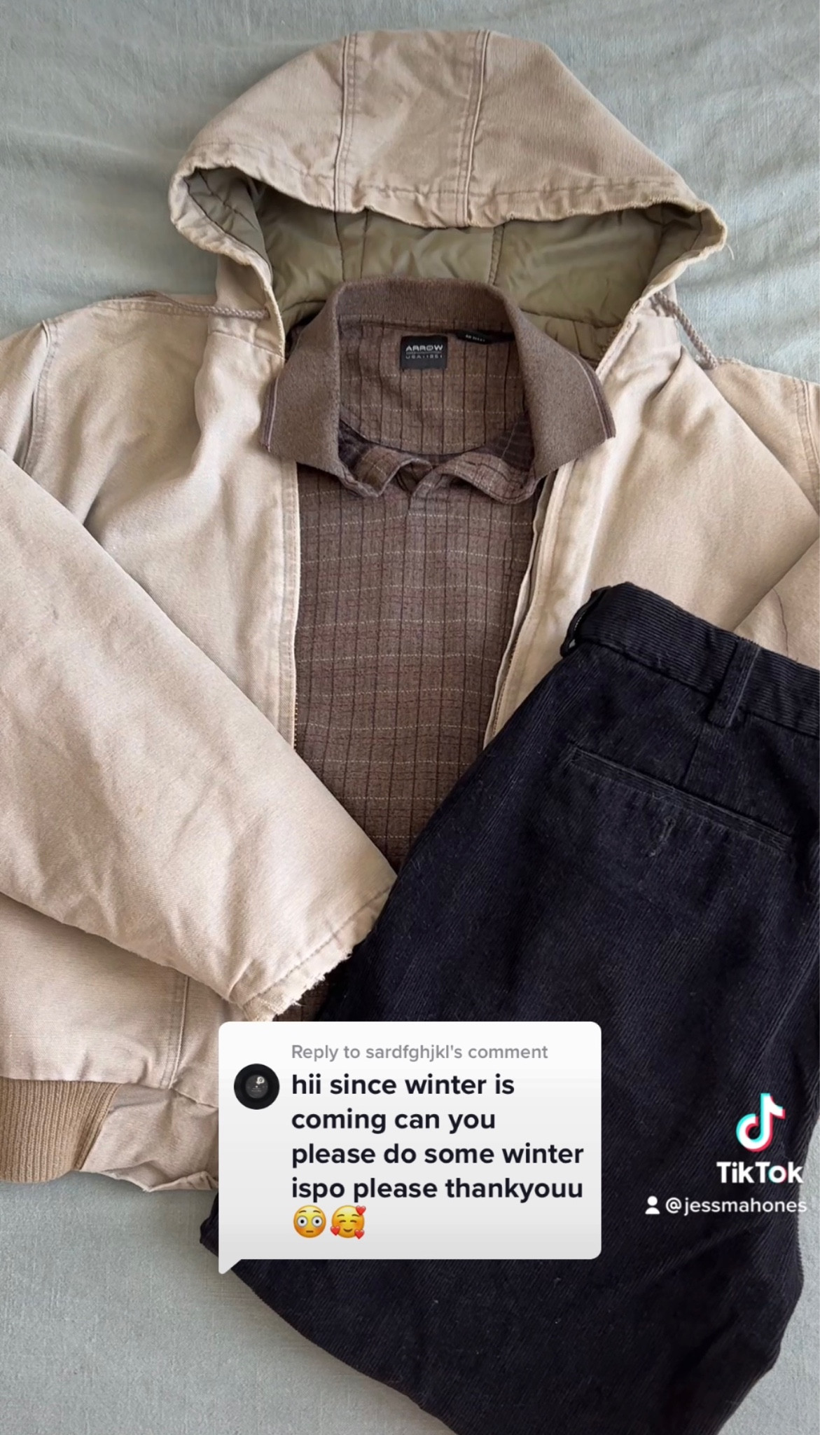 3rd fit from winter fits tiktok :)
MY SIZES:
• jacket: M
• polo: M
• pants: mens 32x30 cropped ~2inches

#LTKunder100 #LTKSeasonal #LTKHoliday