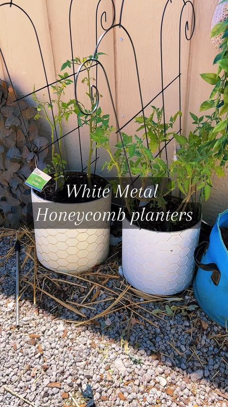 🌿✨ Introducing my latest obsession: the Metal Honeycomb Planter Set! 🍯🌼 As a garden enthusiast, I can't resist adding new beauties to my green sanctuary. I love my garden and cherish all my planters in it, but these, oh these are my new favorites!
Grab Yours Here: https://amzn.to/3JZ52cE

Crafted with durability and style in mind, these planters bring a touch of whimsy to any space. Whether you're sprucing up your living room or adding flair to your patio, these honeycomb darlings are up for the task. 🏡💫

What I adore most is their versatility. You can use them for indoor or outdoor planting, and they hold up through all weather conditions—super nice, right? 🌧️☀️ Plus, their sleek metal design adds a modern edge to my green corner.

Every time I glance at them, I can't help but smile. They're like little homes for my beloved plants, nestled snugly in their honeycomb embrace. 🐝🌿 So, if you're looking to spruce up your garden with a dash of charm, these planters are an absolute must-have! Trust me, your plants will thank you. 🌟 #gardeningtips #gardeninghacks #gardeningideas #vegetablegardening #flowergarden #amazonhomefinds #amazonfinds #founditonamazon #amazonfind

#LTKVideo #LTKSeasonal #LTKHome