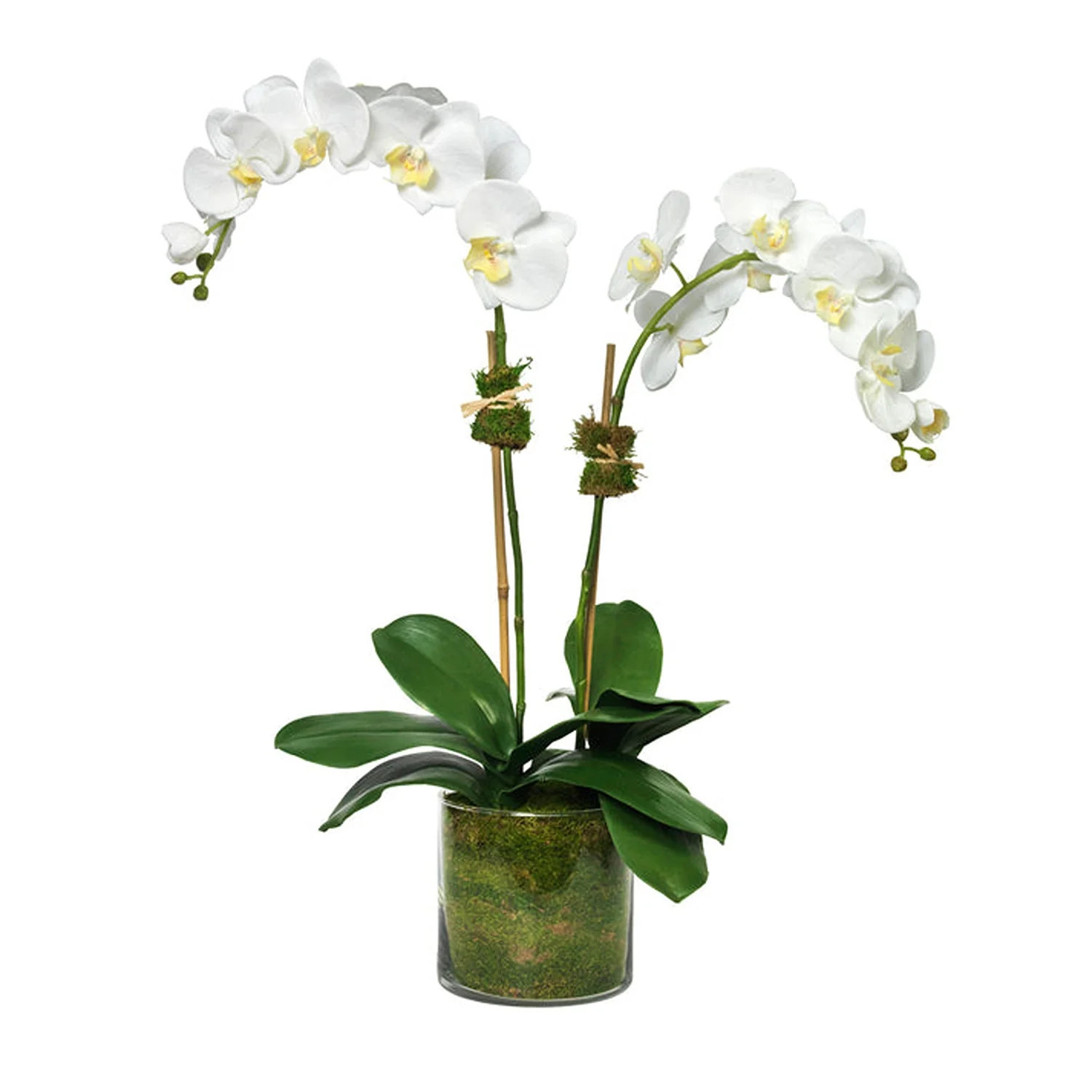 Picture Perfect | Gorgeous Living