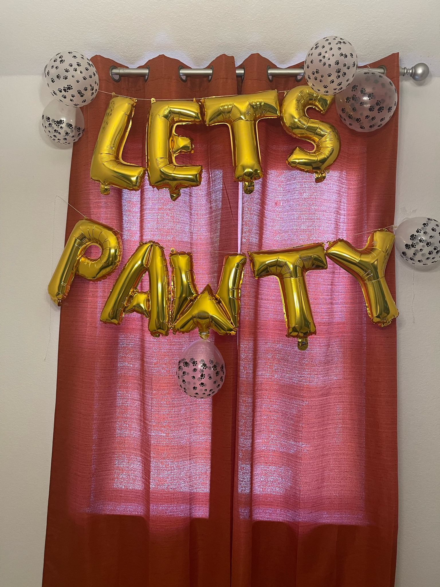 Let’s pawty 🐾 dog themed birthday decor and balloons for Ivy’s “Two Let the Dogs Out” birthday partyy

#LTKFindsUnder50 #LTKKids #LTKFamily