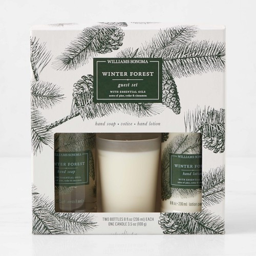 Williams Sonoma Winter Forest Guest Set | Williams-Sonoma