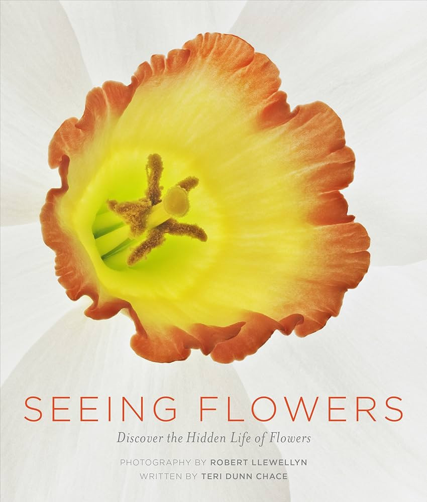 Seeing Flowers: Discover the Hidden Life of Flowers (Seeing Series) | Amazon (US)