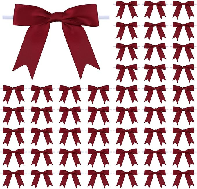 50 Pcs 3 Inches Twist Tie Satin Ribbon Bows Rust Red Pretied Premade Craft Bows for Treat Bags Gi... | Amazon (US)