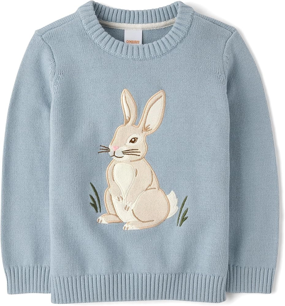 Gymboree Boys' and Toddler Embroidered Pullover Sweater | Amazon (US)