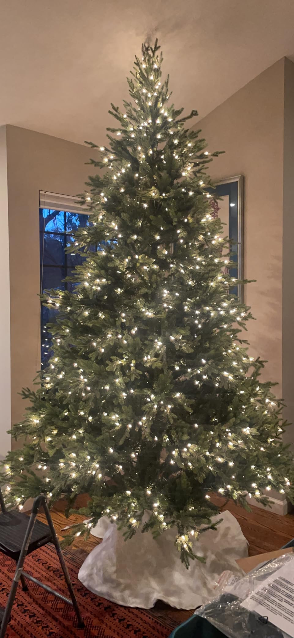 Puleo International 9 Foot Pre-Lit Balsam Fir Artificial Christmas Tree with 1000 Clear Lights, G... | Amazon (US)