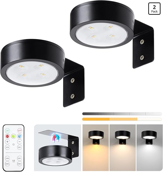 2-Pack Picture Light Battery Operated with Remote, LED Painting Lights, Dimmable and Timer Painti... | Amazon (US)