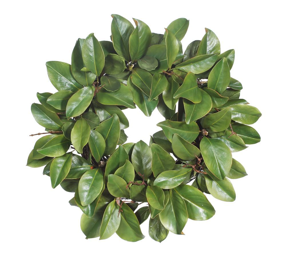 Faux Magnolia Leaf Wreath | Pottery Barn (US)