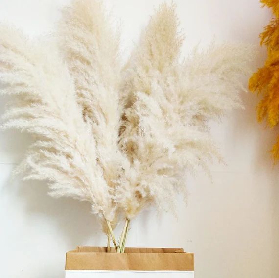 Large Natural Pampas Grass  Reed Feathers Boho Wedding - Etsy Canada | Etsy (CAD)
