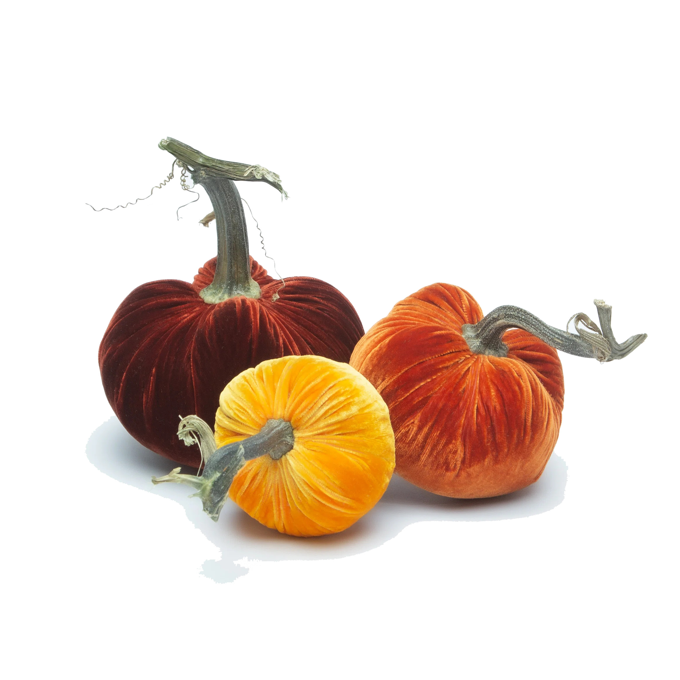 Silk Velvet Pumpkins-Fall Trio | Perigold