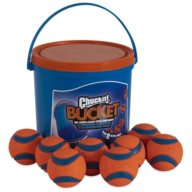 Chuckit! Bucket Fetch Dog Toy | Chewy.com