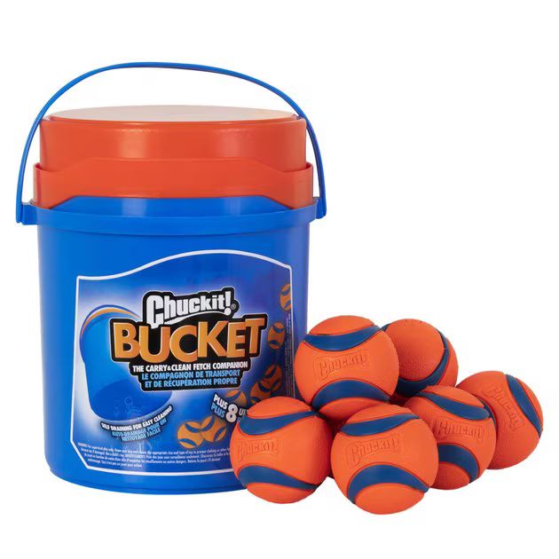 Chuckit! Bucket Fetch Dog Toy | Chewy.com