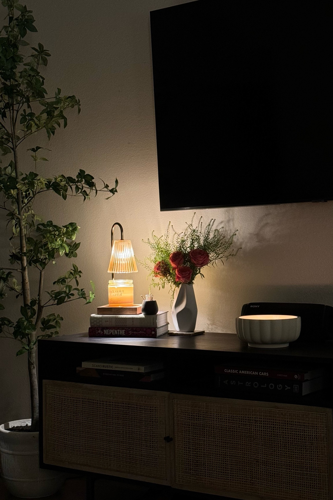 Cozy living room decor 💕 

#LTKHome #LTKSeasonal #LTKFindsUnder50