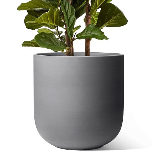 LE TAUCI 12 Inch Pots for Plants, Ceramic Large Planters for Indoor Plants, Indoor Plant Pots for Home Garden Patio Office, Big Planter Pots with Drainage Hole and Rubber Plug, Charcoal Gray | Amazon (US)