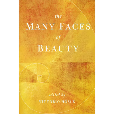 Many Faces of Beauty - by  Vittorio Hösle (Paperback) | Target