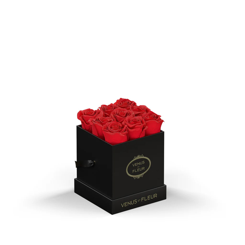 2 x 2 x 2 inches | Venus ET Fleur