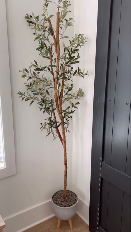 Faux olive tree with cement planter pot 🌿🤍

Olive tree home plant 
Olive tree indoor plant
Olive tree with planter
Nearly natural faux olive tree
Faux tree, faux plants, indoor planter 




#LTKhome
