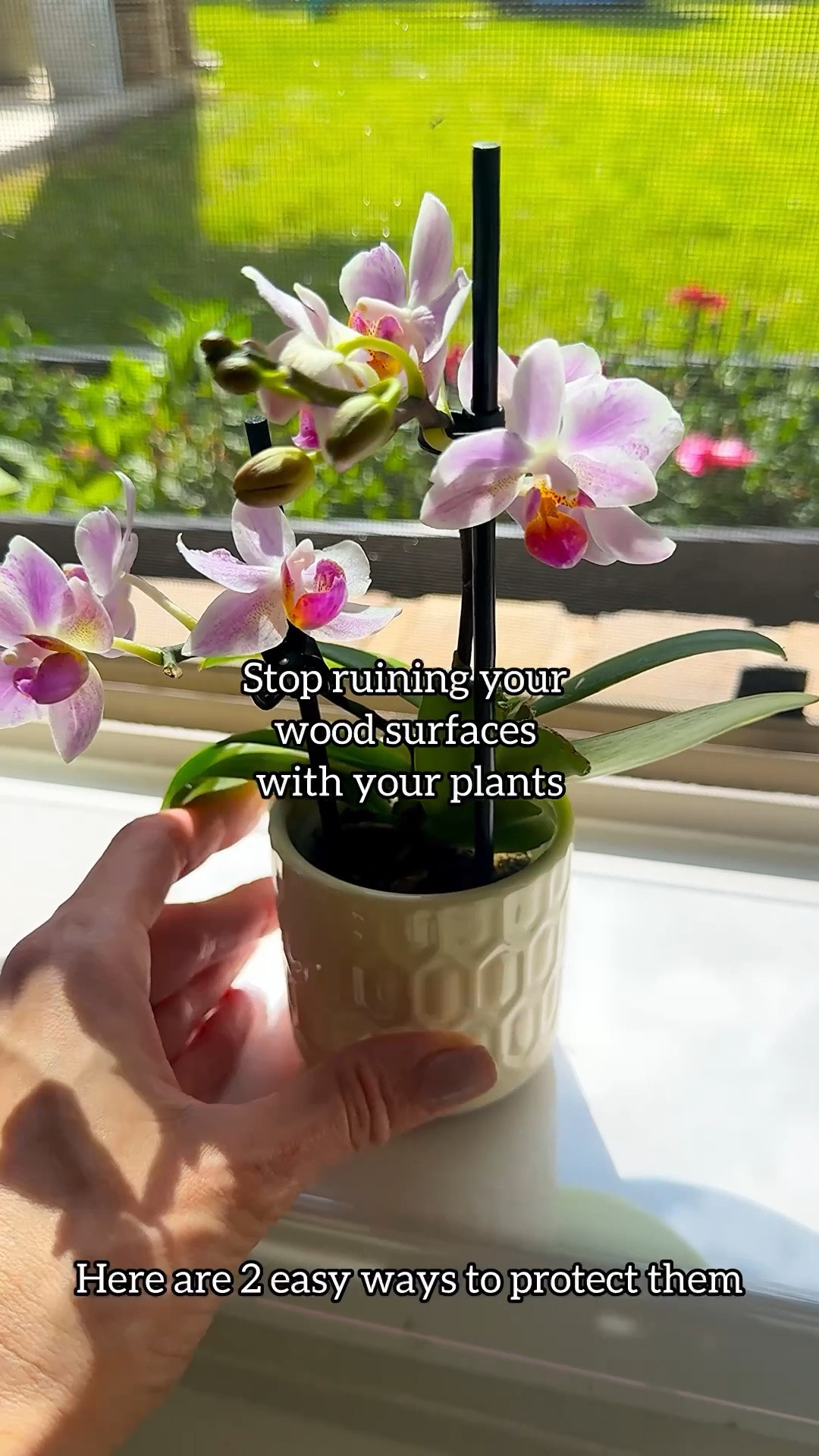 Your plants shouldn’t come at the cost of your wood furniture.

Here are two simple ways I use every day:
• A clear windowsill protector for invisible coverage
• Coffee table books to elevate and protect at the same time

Small changes, but they make a big difference in keeping your furniture looking new.

How do you protect your furniture from plants?

#plantcare #plantstyling #houseplants #homedecor #planttips

protect wood furniture from plants | prevent water rings on wood | plant styling ideas with books | indoor plant care tips | protect furniture from plant damage

#LTKOver40 #LTKmomlife #LTKHome